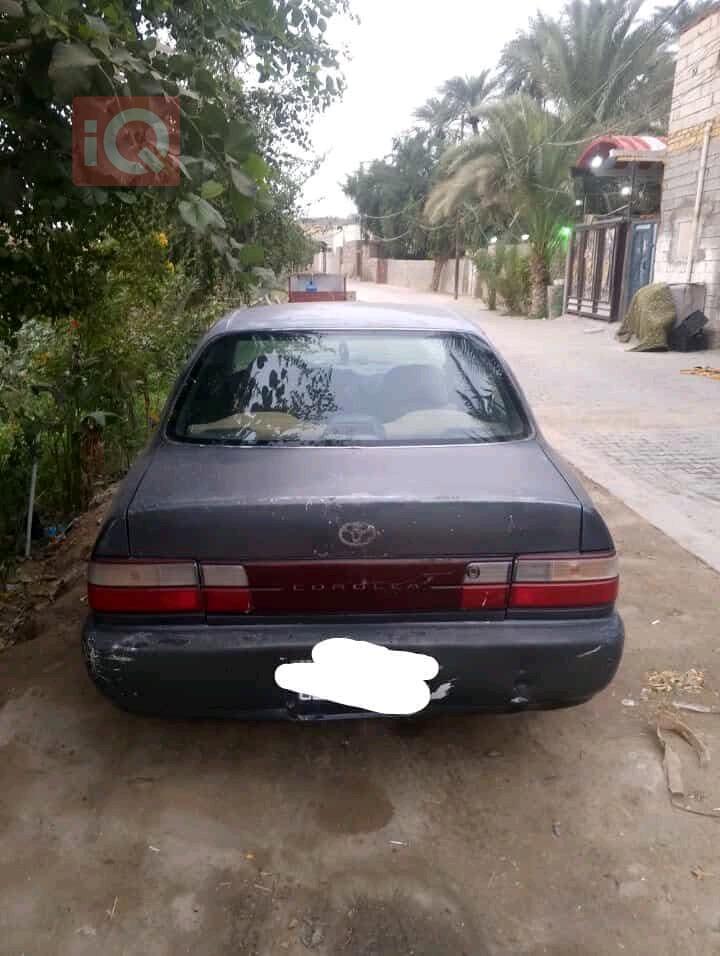 تويوتا كورولا